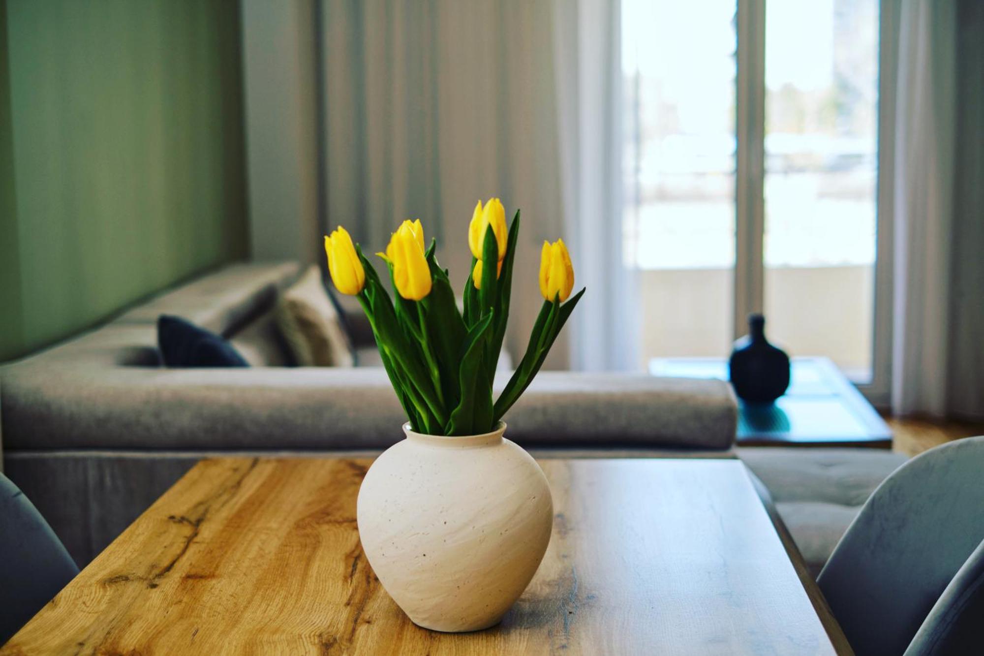 “The Elysian” City Center Apartment Thessaloníki Luaran gambar